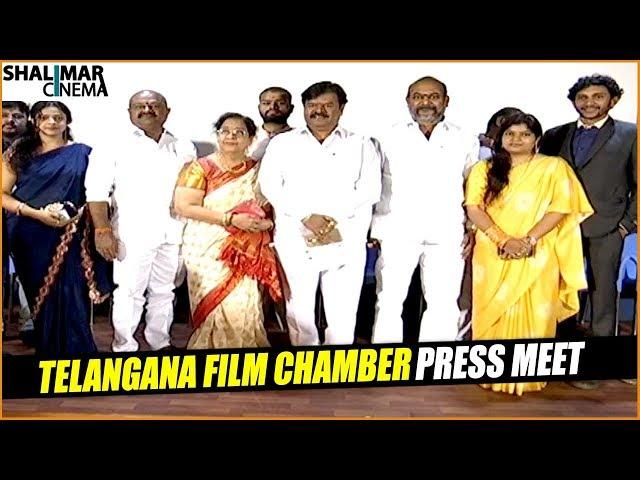 Telangana Film Chamber Press Meet || R.K. Goud || Shalimarcinema