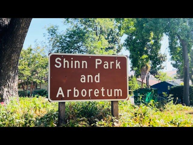 Shinn Park and Arboretum #butterflygarden #parkside #fremontca