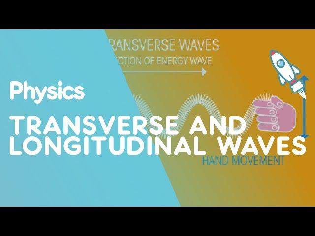Transverse & Longitudinal Waves | Waves | Physics | FuseSchool