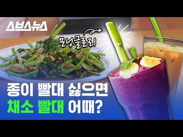 JMT 공심채 나물을 빨대로 사용 가능? 응 가능~ (ft.모닝글로리) / 스브스뉴스