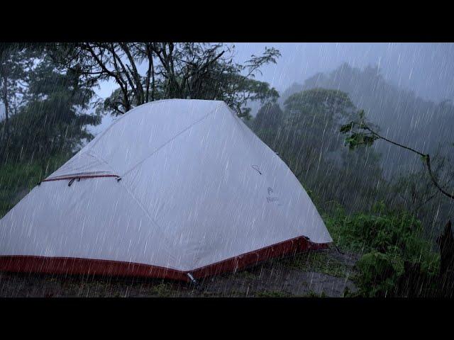 CAMPING IN HEAVY RAIN & THUNDERSTORMS: RELAXING SOUNDS OF RAIN ON TENT ROOF | ASMR [4K]