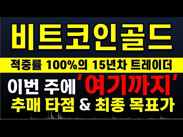 [비트코인골드 분석] 이번 주 "여기까지" 안 쏘면 다신 분석 안합니다.   大 불 장 매매 타점 공유  ️매매 시 절대 시청!!️