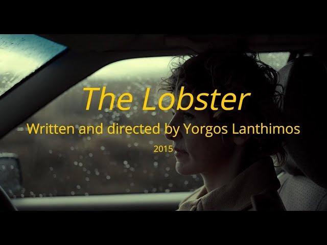 Video Essay: Camera Movement in The Lobster