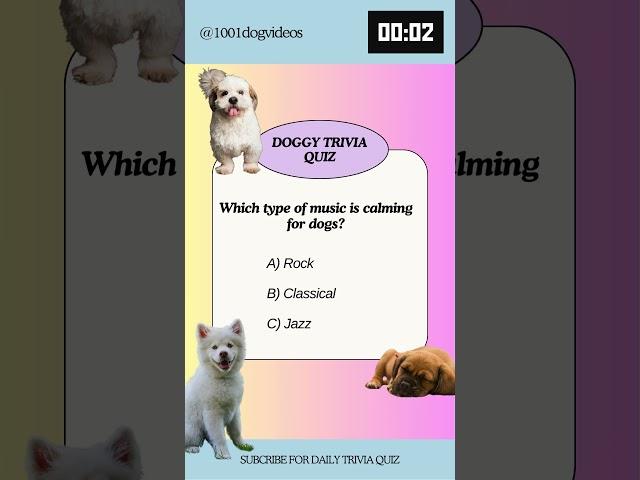 Daily Dog trivia quiz #puppy #dog #doglover #yourdog #dogtrivia #dogchallenge #dogchannel