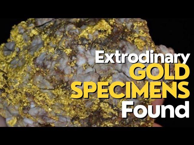 RARE FINDS: Stunning and Extraordinary Gold Quartz Specimens Revealed.