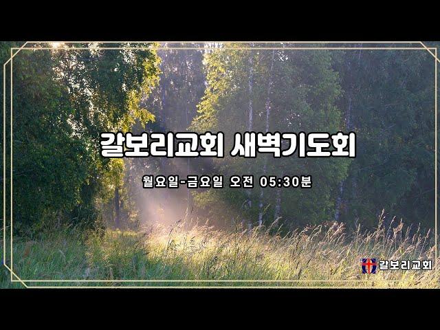 갈보리교회(자양동) 2024.12.13(금)