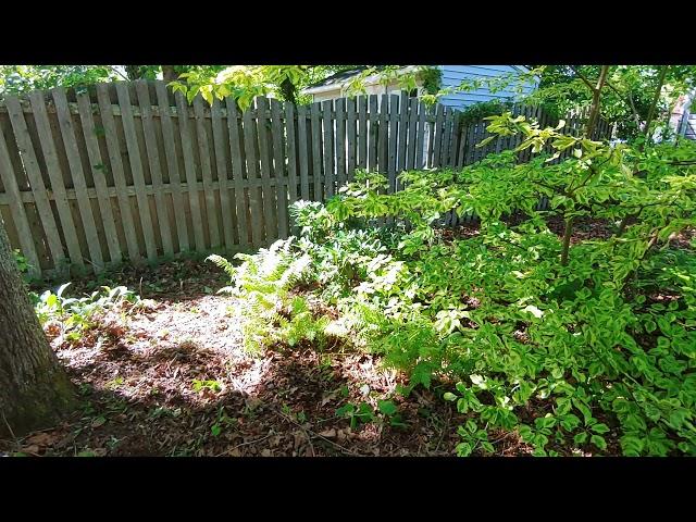 Farewell my first permaculture garden. Final changes.