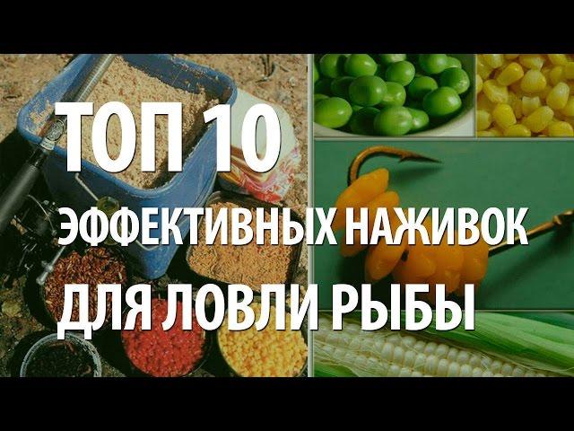 НАЖИВКА для РЫБАЛКИ. САМЫЕ ЭФФЕКТИВНЫЕ НАЖИВКИ ТОП 10