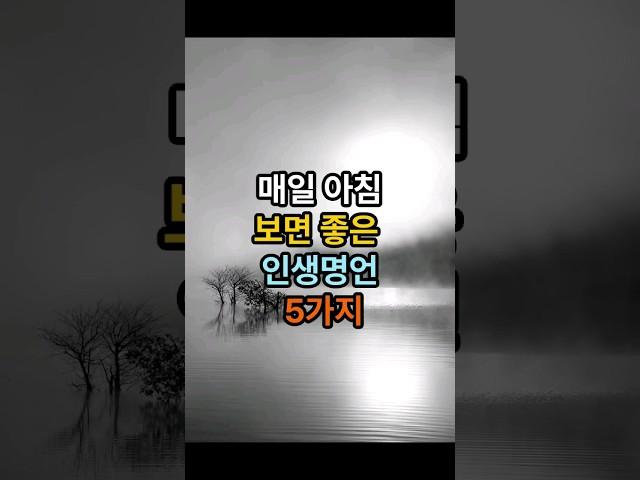 매일  아침에 보면 좋은 인생명언 5가지