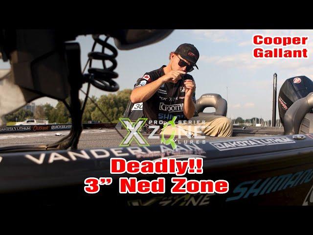 Cooper Gallant - 3" Ned Zone