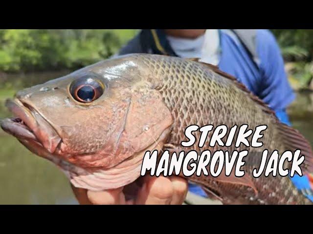 Menaklukkan Predator Perairan Muara Calang, Aceh | MANCING MANIA STRIKE BACK (08/09/24) Part 1