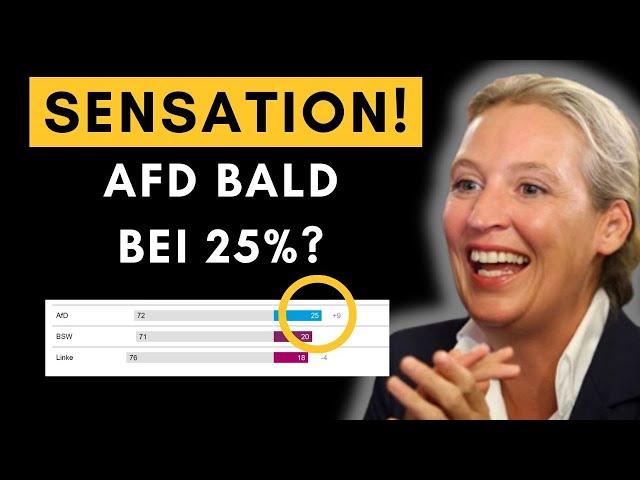 Wählerpotential: Neuer Rekordwert für AfD im Deutschlandtrend!