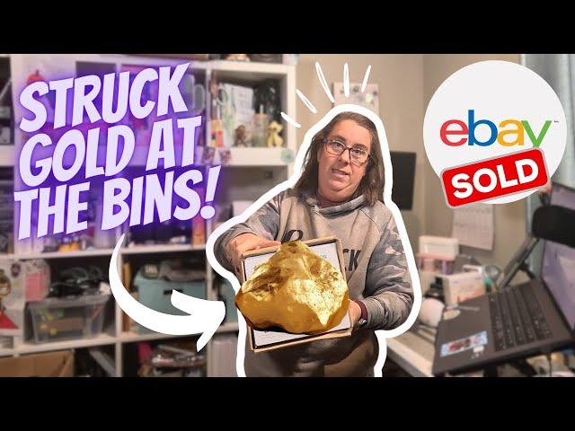  EPIC Unmarked Bin Find Worth $300+! | Full Time eBay Reseller | What Sold