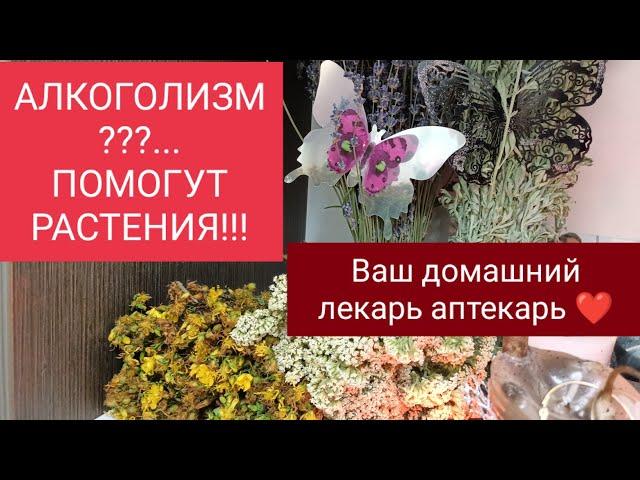 РЕЦЕПТ ТРАВ И ЯГОД ДЛЯ ЛЕЧЕНИЯ АЛКОГОЛИЗМА.