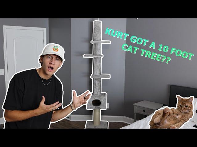 I Got My Cat The World"s Largest Cat Tree