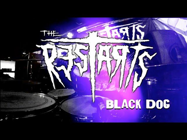 The Restarts Official - Black Dog video