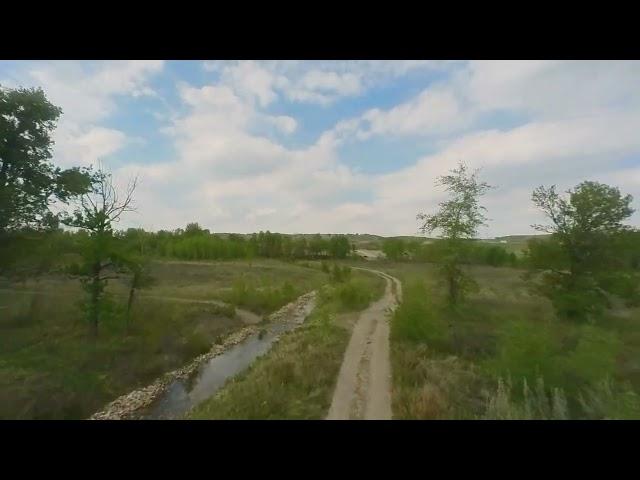 Backyard Inhabitants - [Extended version] - FPV Drone Flight