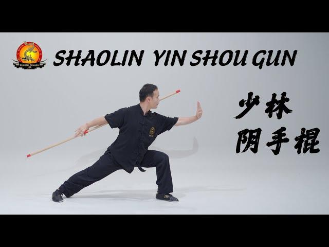 Kung Fu Dragon USA Online Tutorial: Shao Lin Yin Shou Gun — 少林阴手棍