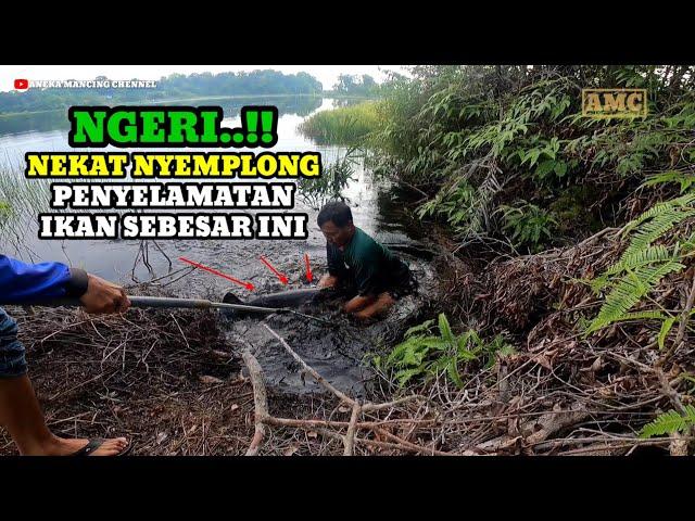 NGERI..!!Demi Ikan Besar Nekat Nyemplung || Mancing Ikan Besar