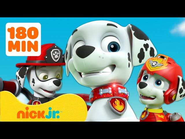 Paw Patrol - La Squadra dei Cuccioli | 3 ore dei MIGLIORI momenti di Marshall! | Nick Jr. Italia