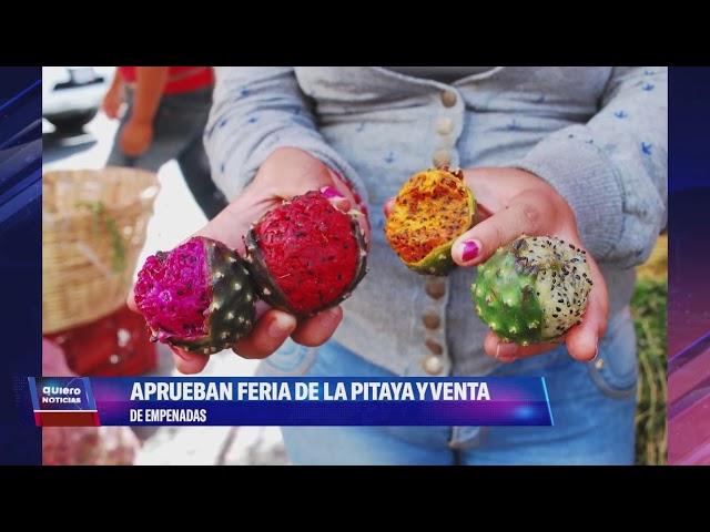 Aprueban la "Feria de la Pitaya" y la venta de empanadas