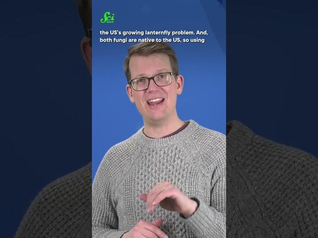 Let some fungal friends help us out. #shorts #science #SciShow #fungus