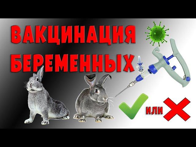 Вакцинация беременных / "за" и "против"