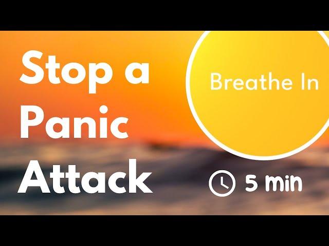 Stop a Panic Attack Now with this Breathing Exercise | 7.5 Breaths Per Minute  | 4/4 Second Timer