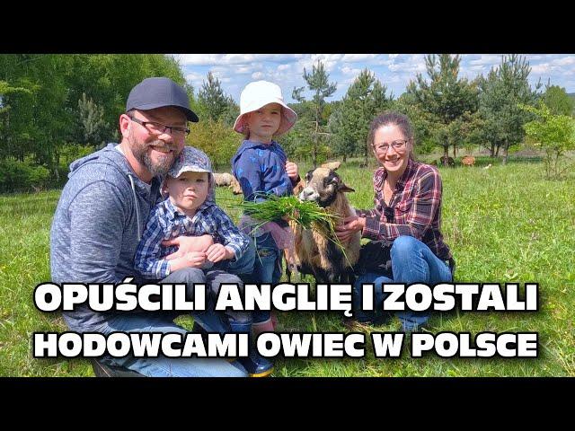 They Left England and Became Sheep Farmers in Poland - Regenerative Agriculture