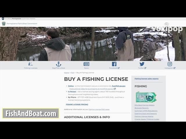 voxipop Fish and Boat 030421