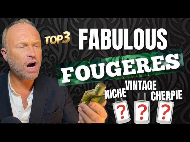 TOP 3 FABULOUS FOUGERES