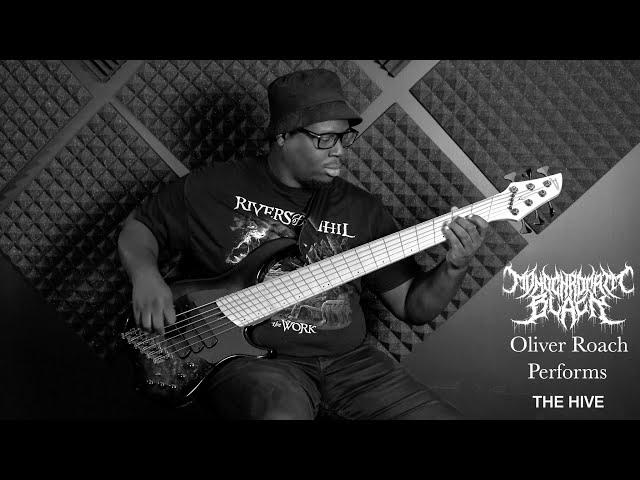 Monochromatic Black - Hail The Queen (The Hive) Bass Playthrough by Oliver Roach