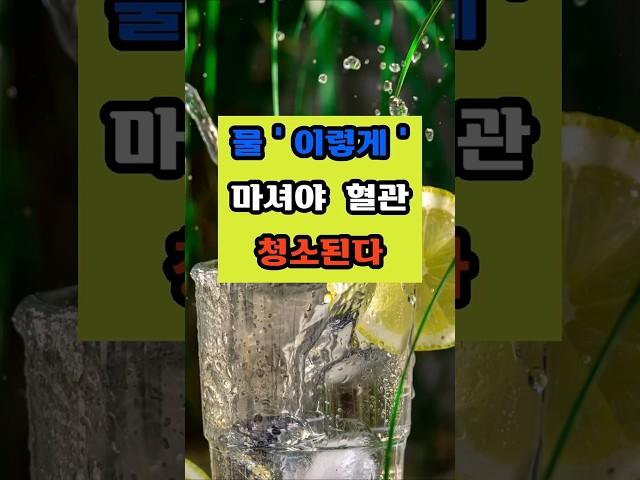 물 이렇게 마셔야 혈관 청소된다 #건강 #이슈 #면역 #영양식 #꿀팁