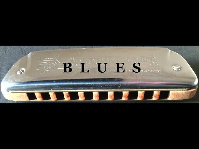 Chicken Shack. Harmonica C Do. Electric Blues and Vocal. Tribute to Bluesmaster Pinetop Perkins