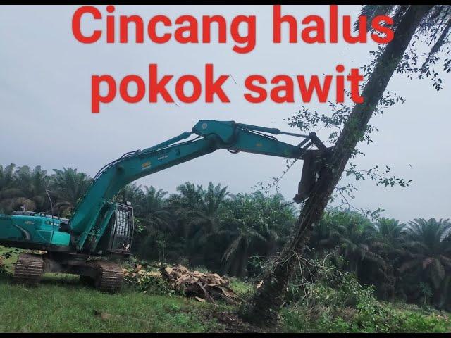 Replanting, excavator skills chiping halus pokok sawit