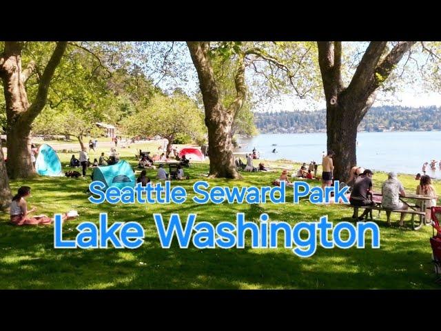  Exploring Seattle; Lake Washington, Seward Park, front Lake neighborhoods by riding scooter tour!