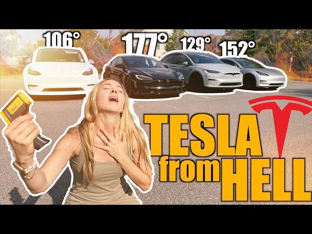 How EXTREME Heat Impacts Your Tesla | Color, Tint, Interior Tested