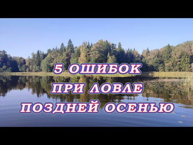 5 ОШИБОК ПРИ ЛОВЛЕ щуки поздней осенью! Осенние проводки для щуки!