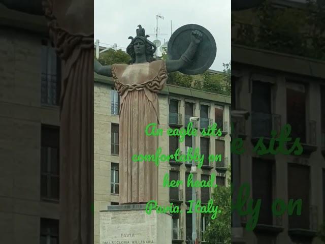 An eagle sits comfortably on her head. Pavia. Italy. #youtube #youtubemylove