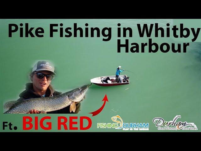 Fishing for Pike in the Durham Region! : TIMP series