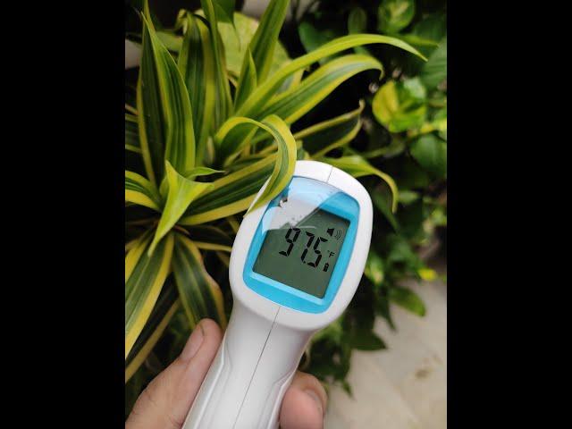 Infrared Thermometer - Reelom