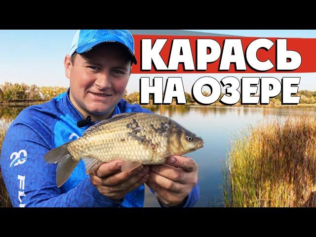Ловля КАРАСЯ на ФИДЕР! Тактический фидер на ОЗЕРЕ!
