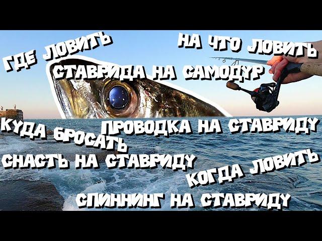 Как ловить ставриду Оснастка на ставриду Ставрида как поймать Снасть на ставриду  #fishing #рыбалка