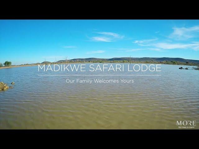 Madikwe Safari Lodge Experience