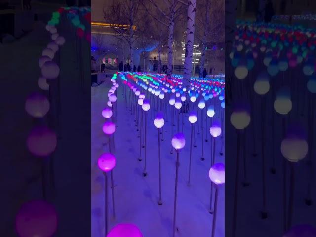 Рождественский вечер в парке Зарядье и тысяча сверкающих ламп  #москва #зарядье #вечер