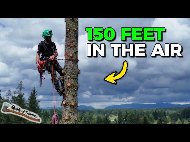 Removing A Tree 150 FEET In The AIR - GIANT 50” Fir Takedown!