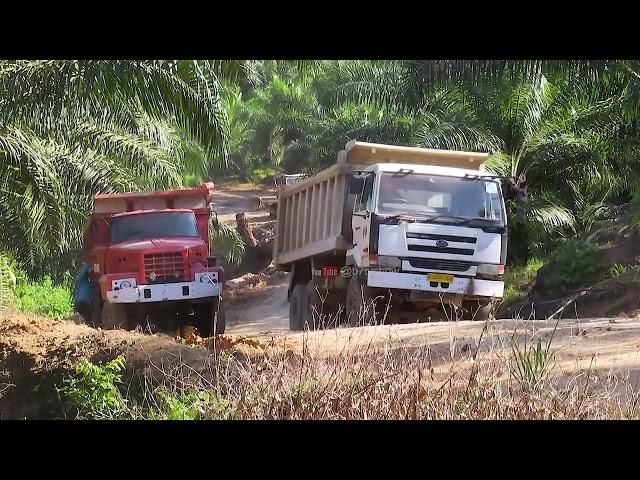 Nissan Diesel Trucks Load Sertu! Nissan TZA 520 6x6, UD Quester 6x4