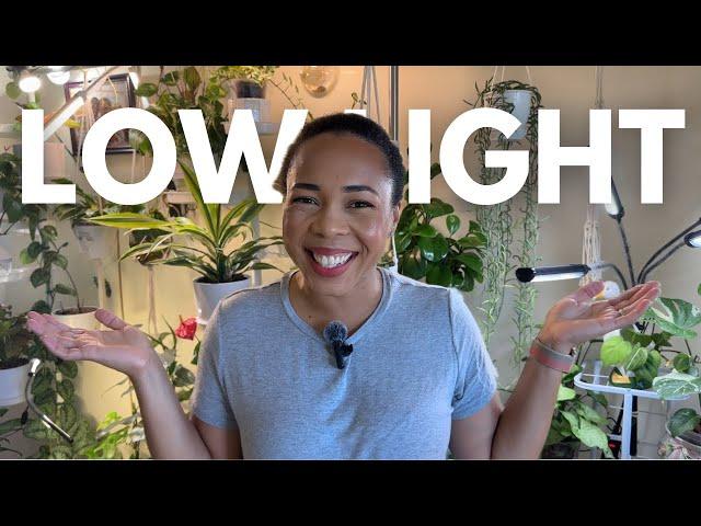  LOW LIGHT Houseplant Tour| End of Summer Growth 2024| My mom's collection 🪴