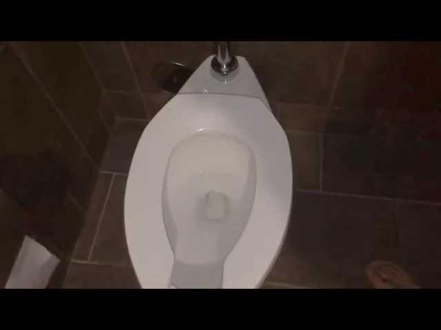 Worlds loudest toilet flush Sound effect of Toilet flushing