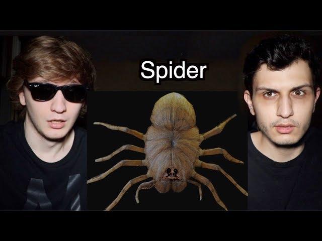 We Bought a PET SPIDER Off the Dark Web!